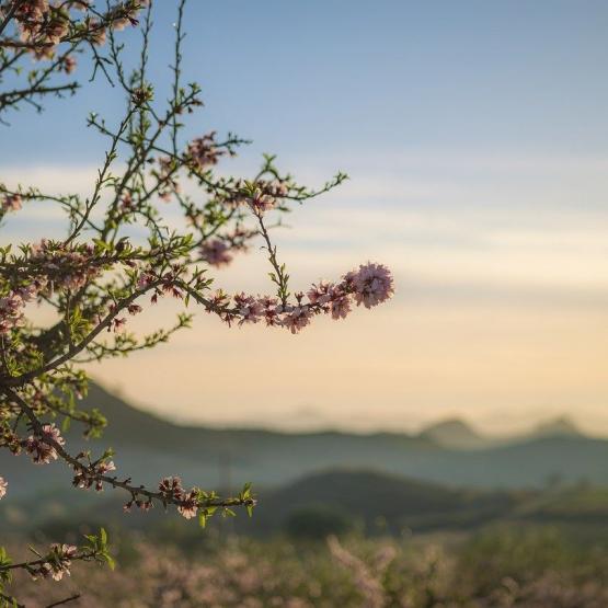 Lorca Baugrundstück Murcia mit Finca Costa Calida